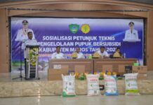 Serapan Pupuk Subsidi di Maros Masih 38 Persen, Chaidir Syam: Ada Apa?