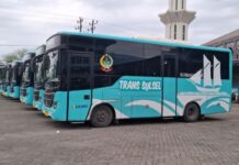 Pemprov Sulsel Sediakan Bus Gratis untuk Natal dan Tahun Baru, Kuota 250 Penumpang