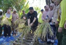 Wali Kota Makassar Ajak Generasi Muda Bertani Secara Modern