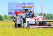 Panen Raya Bersama Komisi IV DPR-RI, Wakil Gubernur Laporkan Produksi Padi Surplus di Sulsel
