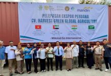 Ekspor Perdana CV Harvest Green Global Agriculture Tembus Pasar Vietnam: Sinergi Instansi Dorong Produk Sulsel ke Dunia