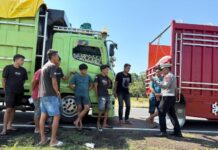 Satlantas Polres Maros Tertibkan Sopir Truk Parkir di Bahu Jalan Mamminasata