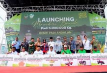 Gubernur Sulsel Andi Sudirman Luncurkan Program Mandiri Benih Padi Rp75 M di CPI Makassar