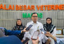 BBVet Maros Ungkap Peta Penyakit Hewan 2025, Sulsel Masih Jadi Episentrum