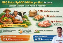MBG Putar Rp600 Miliar per Hari ke Desa, Petani dan Peternak Ikut Menikmati Dampaknya