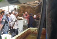 Tak Ada Lahan? Appi Buktikan Urban Farming di Makassar Bisa Sukses