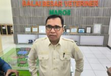 Jangan Tertipu! Ini Ciri Hewan Kurban Sakit Menurut BBVet Maros