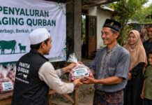 Pemkab Maros Siapkan 500 Paket Daging Kurban, Dibagikan via Kupon