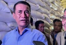Mentan Amran: Stok Pangan RI Aman 11 Bulan, Siap Hadapi El Nino ‘Godzilla’
