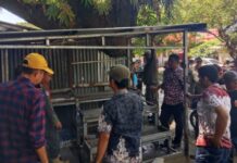Penertiban PKL di Tamalanrea Makassar Berjalan Kondusif, 10 Bongkar Mandiri