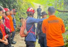 Pergi ke Kebun Tak Kunjung Pulang, Warga Palopo Dilaporkan Tersesat di Hutan
