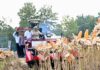 Panen Raya Jagung di Tuban, Prabowo Kagum Briket Tongkol Jagung dan Pupuk dari Batu Bara