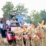 Panen Raya Jagung Di Tuban, Prabowo Kagum Briket Tongkol Jagung Dan Pupuk Dari Batu Bara