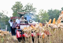Panen Raya Jagung di Tuban, Prabowo Kagum Briket Tongkol Jagung dan Pupuk dari Batu Bara