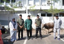 Iduladha 2026, Pemkot Makassar Salurkan Daging Kurban untuk Cleaning Service dan Warga