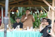 Wali Kota Makassar Kagum Lihat Urban Farming Warga Paccerakkang