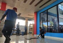 120 Ular Ditangkap Damkar Maros dalam 6 Bulan, 6 Di Antaranya Kobra