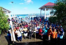 Peringati Hari Lingkungan Hidup, Gubernur Sulsel Tanam 1.000 Mangrove di Selayar