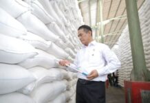 Produksi Beras RI Pecahkan Rekor, Indonesia Kini Produsen Terbesar Keempat Dunia