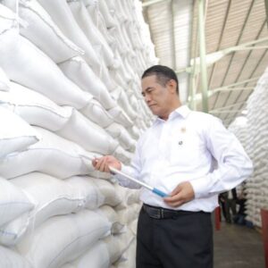 Produksi Beras Surplus 3,56 Juta Ton, Pemerintah Perkuat Stabilisasi Harga