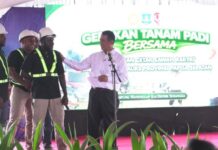 Genjot Ketahanan Pangan, Kementan Kembangkan 100 Ribu Hektare Kawasan Pertanian di Papua Selatan