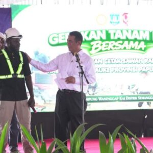 Genjot Ketahanan Pangan, Kementan Kembangkan 100 Ribu Hektare Kawasan Pertanian Di Papua Selatan