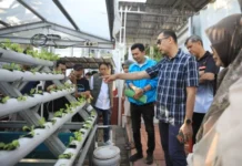 Sekda Makassar Sidak Persiapan Gunung Sari Jelang Lomba Kelurahan Sulsel,