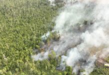 12.880 Personel Gabungan Dikerahkan Tangani Karhutla di 3 Provinsi Kalimantan