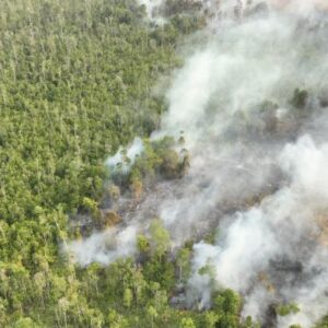 12.880 Personel Gabungan Dikerahkan Tangani Karhutla Di 3 Provinsi Kalimantan