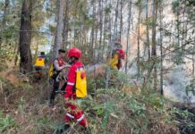 Sulsel Dikepung Ancaman Karhutla, Gubernur: Jangan Lakukan Aktivitas Picu Api