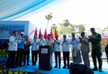 Luncurkan PLTS 100 GWp, Prabowo Target Indonesia Tak Lagi Impor Minyak dan LPG