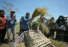 Lahan Makassar Makin Terbatas, Appi Salurkan Bantuan untuk Petani