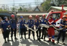 Damkarmat Maros Evakuasi Ular Sanca 4 Meter dari Dasar Sumur Warga