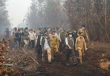 69.190 Personel Dikerahkan Padamkan Karhutla, 639 Hektare Lahan Masih Terbakar