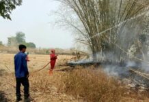 Kebakaran Lahan 5 Hektare di Maros Nyaris Lahap Permukiman, Warga Panik