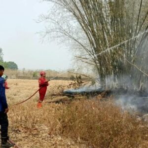 Kebakaran Lahan 5 Hektare Di Maros Nyaris Lahap Permukiman, Warga Panik