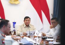 Prabowo Kerahkan 200 Pompa Air untuk Padamkan Karhutla di Habitat Orangutan
