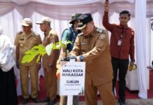 TPA Antang Makassar Disulap Jadi Hutan Kota, 285 Bibit Pohon Mulai Ditanam